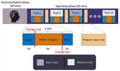 Exploring EEG-based motor imagery decoding: a dual approach using spatial features and spectro-spatial Deep Learning model IFNet